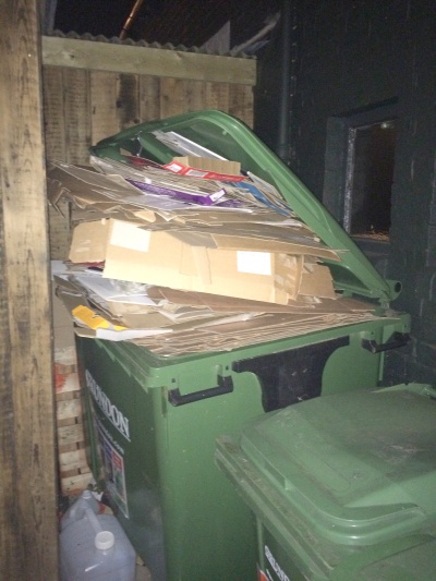 Overflowing commercial bins